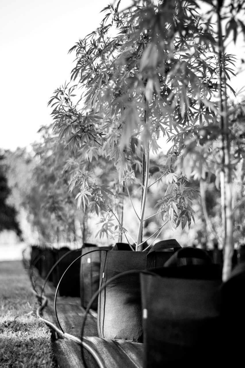 pexels-jordan-bergendahl-2628960-4862805_small