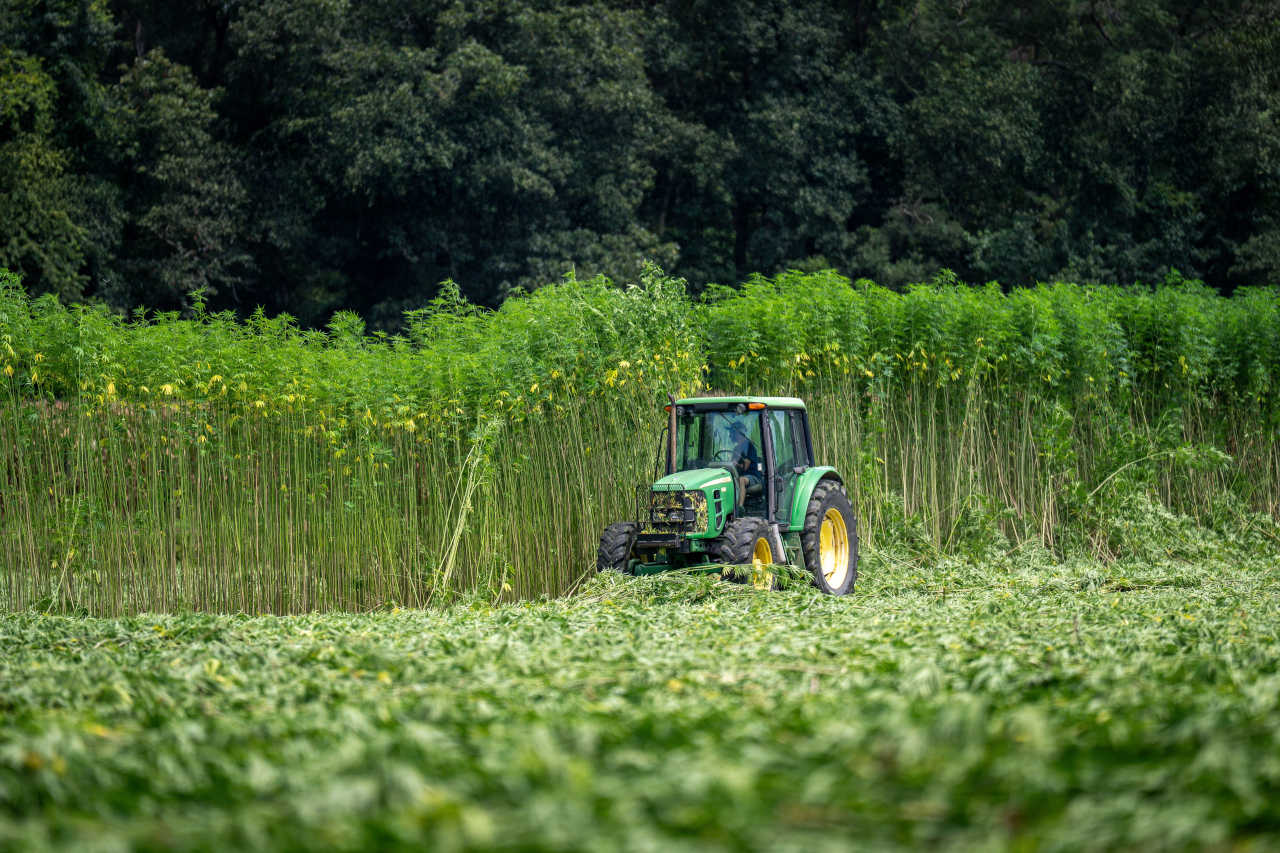 pexels-nc-farm-bureau-mark-33325755_small